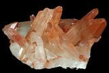 Natural, Red Quartz Crystal Cluster - Morocco #88920-1